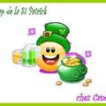 Swap de la St Patrick - infos