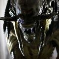 Aliens VS Predator - Requiem : images !!