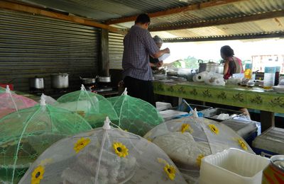 Balade et déjeuner au village de Javouhey