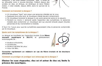 Epidémie de dengue aux Antilles et de chikungunya à la Réunion : comprendre et agir pour se protéger et protéger son entourage