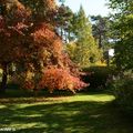 Festival des couleurs d’automne aux Grandes Bruyères