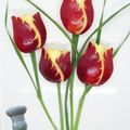 Bouquet de tulipes