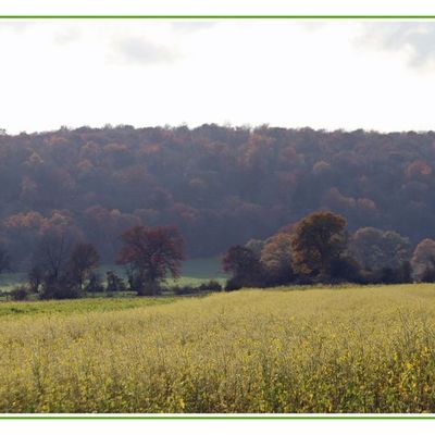 Douceurs d'automne