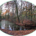 Fossés de la Citadelle à Lille