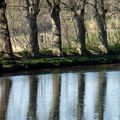 canal à Capestang