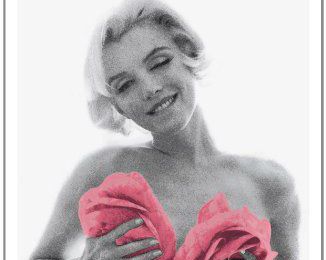 Marilyn Monroe La cicatrice