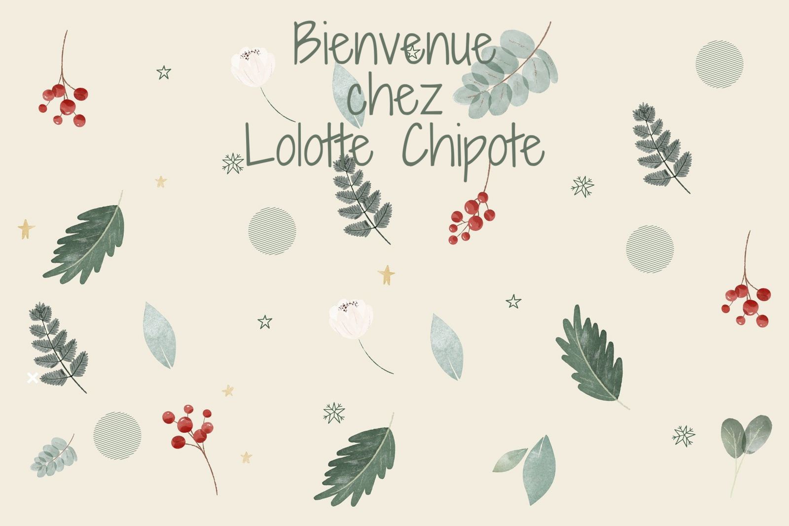 LOLOTTE CHIPOTE