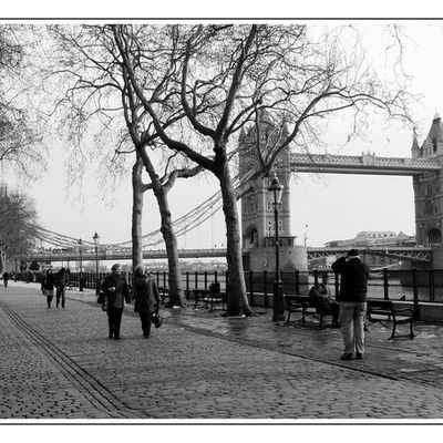 The Tower Bridge - London