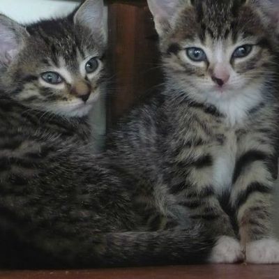 (Qui c'est qui a...^^ )