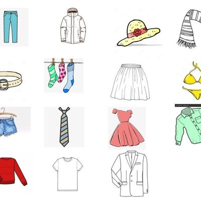 Les vêtements 