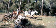 juliette et moi adore monter les chevaux devant chez nous!!!!!