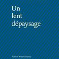 Un lent dépaysage, de Mireille Fargier-Caruso