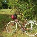 Journées du patrimoine en vélo