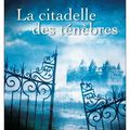 Tome 1, les Seigneurs de l'ombre: La citadelle des ténèbres