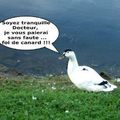 Quand je ... (MAP)