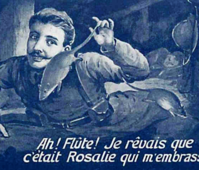 Rôle des animaux dans la Grande Guerre