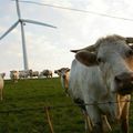 L'ecole de la Tibourgere aux Herbiers ouvrira en septembre 2015