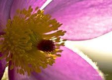 Conseil pour votre Âme 2