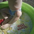Les couches de piscine Swimmies de Bébé Cash