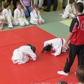 Compet de Judo (encore)