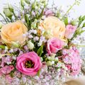 LE BOUQUET DU VENDREDI...