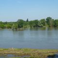 Loire haute vers muides