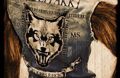 WOLFPAKK "Wolves Reign" (French Review) - Official Video "Falling" / Audio "Blood Brothers"