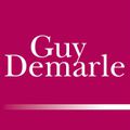 CONSEILLERE GUY DEMARLE 