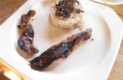 Aiguilettes de canard au miel et sauce soja accompagnées de riz à la cannelle
