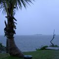 Les parapluies de....Nouméa