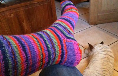 Chaussettes multicolores