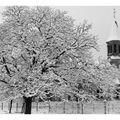 Sous la neige - décembre 1990 - Ddo