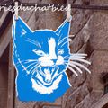 Le Chat Bleu à ST Malo !