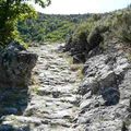 Chemin de La Viale - Août 2011 ( Suite )