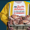 COQUILLE SAINT-JACQUES: LA GRANDE DEBARQUE NORMANDE!