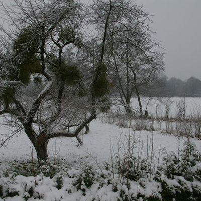 Que faire par ce temps là???