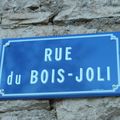 Rue du bois-joli