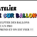 APPRENDRE LA SCULPTURE SUR BALLONS A BORDEAUX