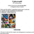 Stage CathyScrap85 à Tréguidel (22)