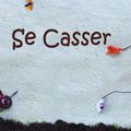 L'album -  Se Casser