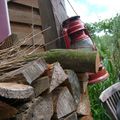 MA CABANE AU FOND DES BOIS