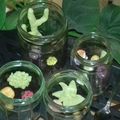 Terrariums gourmands pour fête des mères