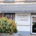 Le Scooby-doux Port-Vendres Pyrénées orientales toilettage