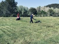 La tonte a permis de mettre en valeur les qualités artistiques de certains bénévoles.