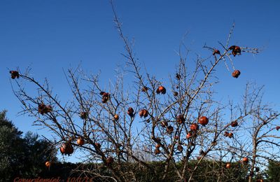 Le ciel était si bleu