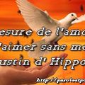 Amour - Mesure - Augustin d'Hippone (Citation)