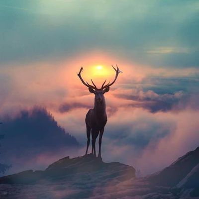 Introduction à la Philosophie Indienne du Védanta, par Elvira, avec Chants Mantras en Sankrit