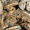 Le squelette d’une reine maya découvert au Guatemala 