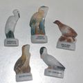 Les oiseaux WWF