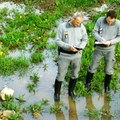 Au niveau local : la police de l’eau